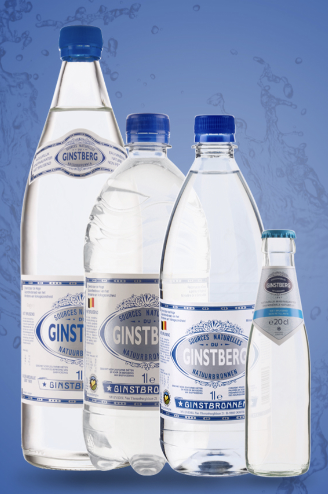 GINSTBERG PLATE  6X1.00 