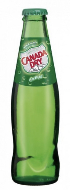 CANADA DRY  24X0.20 