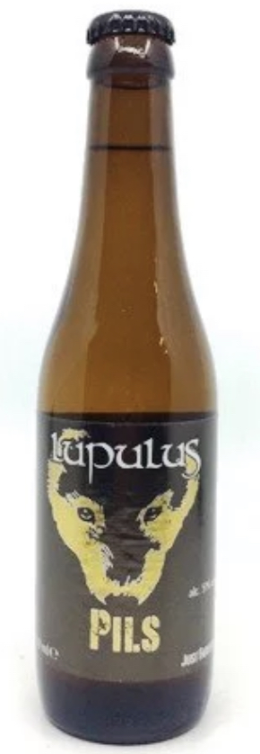 LUPULUS PILS   24X0.33 5%BE-BIO-01 CERTISYS