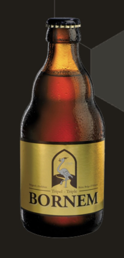 BORNEM TRIPLE  6X4X0.33 9%