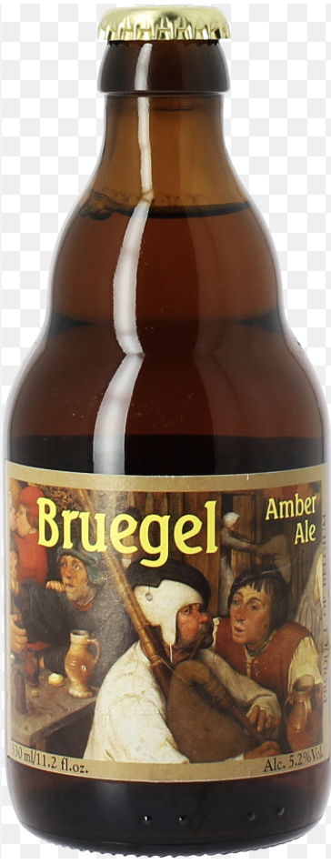 BRUEGEL  24X0.33 5.2%