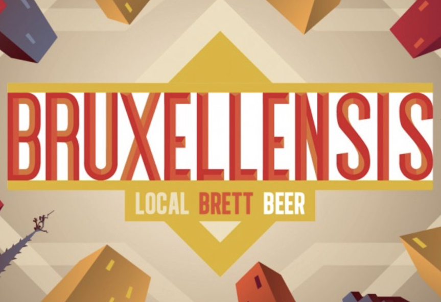 BRUXELLENSIS BIO 24X0.33 6.5%