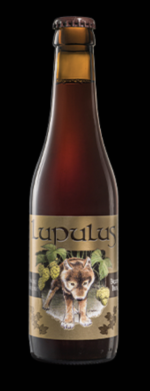 LUPULUS BRUNE  24X0.33 8.5%
BE-BIO-01 CERTISYS