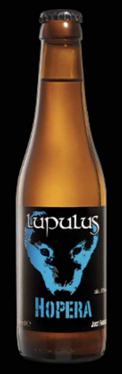 LUPULUS HOPERA  24X0.33 6%