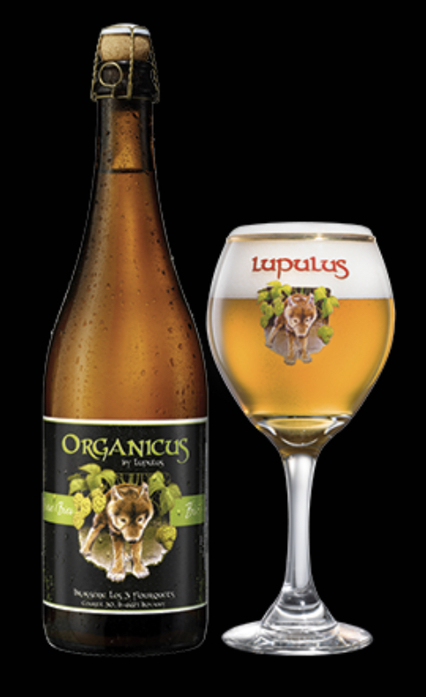 LUPULUS ORGANICUS  12X0.75 8.5%
BE-BIO-01 CERTISYS