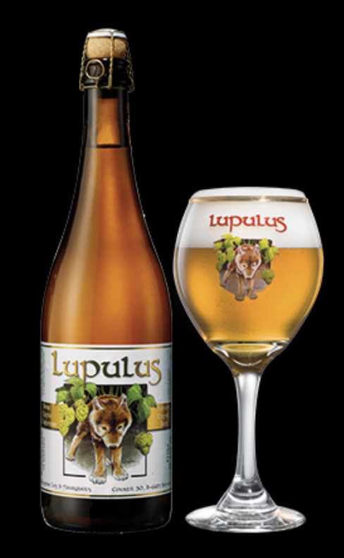 LUPULUS TRIPLE BLONDE  12X0.75 8.5%