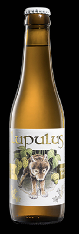 LUPULUS TRIPLE BLONDE  24X0.33 8.5%