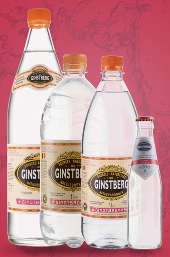 [700048] GINSTBERG PETILLANT  6X1.00 