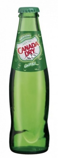 [800003] CANADA DRY  24X0.20 