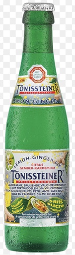 [800086] TONISSTEINER LEMON GINGER FIT  20X0.25 
