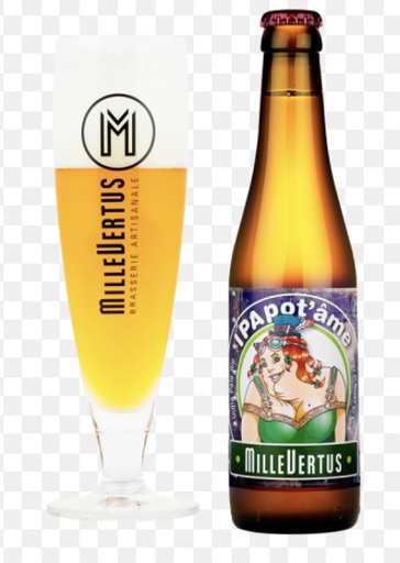 [400410] IPAPOT'AME   6X4X0.33 6%