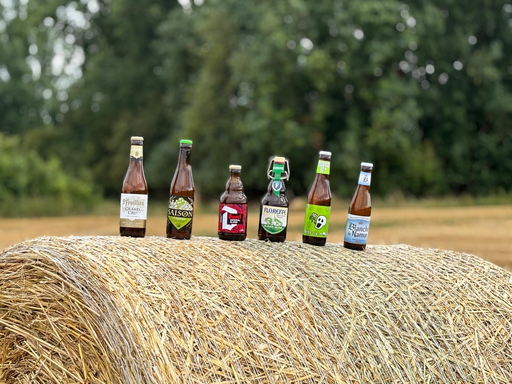 [400850] CASIER DÉCOUVERTE 12 Bières - 3 