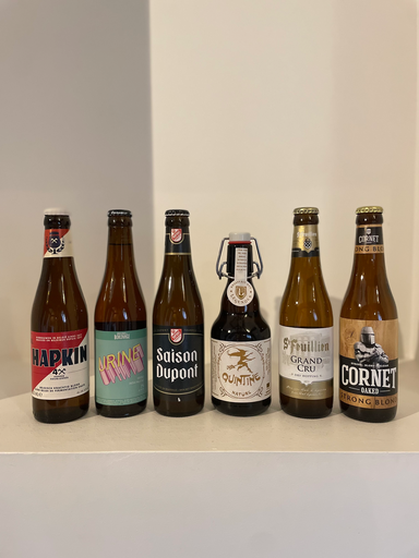 [400855] CASIER DÉCOUVERTE 12 Bières - 1